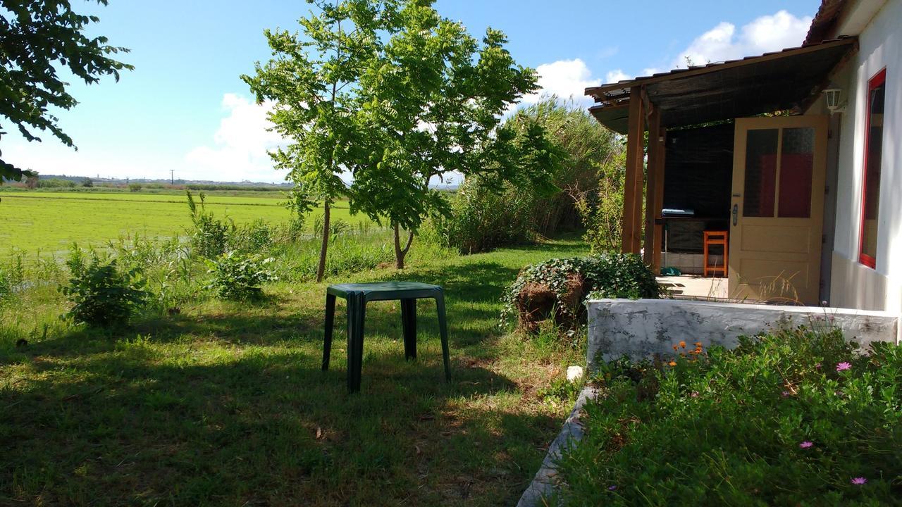 Termas Da Azenha Ξενοδοχείο Figueira da Azoia Εξωτερικό φωτογραφία